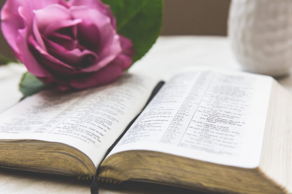 An open Bible with a fuschia rose laid on the corner of a page