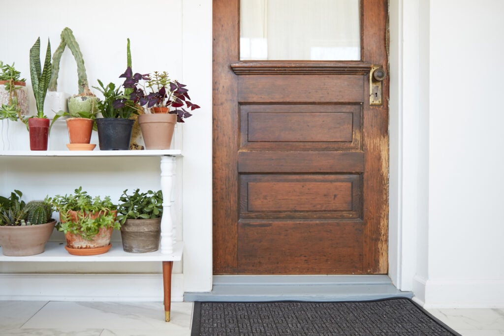 An antique wooden door set into a white wall beside a shelf full of houseplants