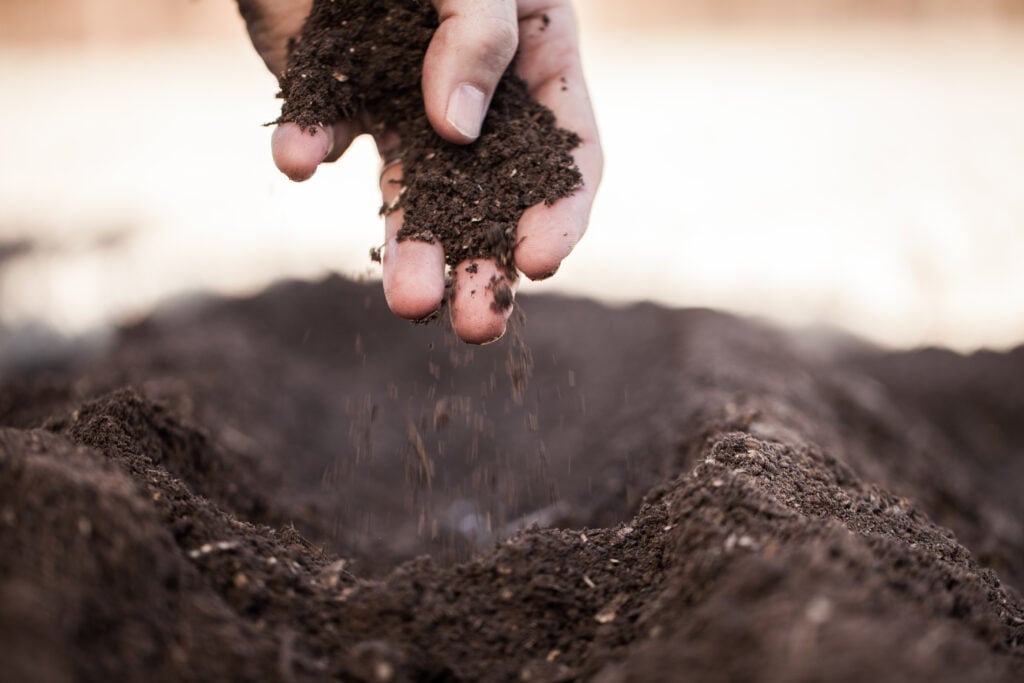 A Christian covering newly planted seeds with fresh soil to symbolize one who is weary of doing good