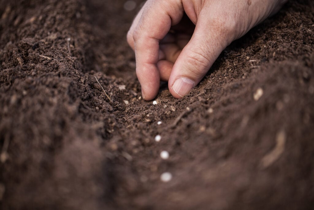 A Christian planting small seeds in the dirt to symbolize one who is weary of doing good